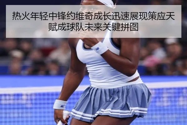 热火年轻中锋约维奇成长迅速展现策应天赋成球队未来关键拼图